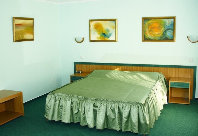 Imagen de la habitación del Hotel Vila Verde, Chisinau. Foto 8