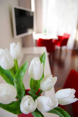 Imagen de la habitación del Hotel Vila Viola. Foto 15