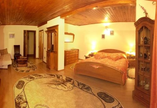 Imagen de la habitación del Hotel Vila Zorile. Foto 7