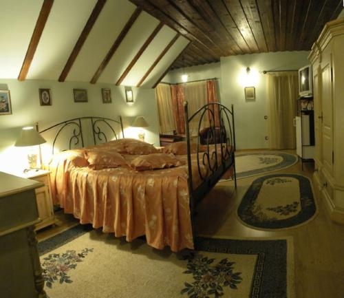 Imagen de la habitación del Hotel Vila Zorile. Foto 8