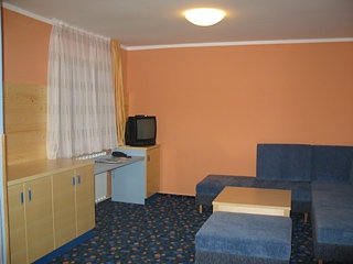 Imagen de la habitación del Hotel Vilas Terme Zrece. Foto 3