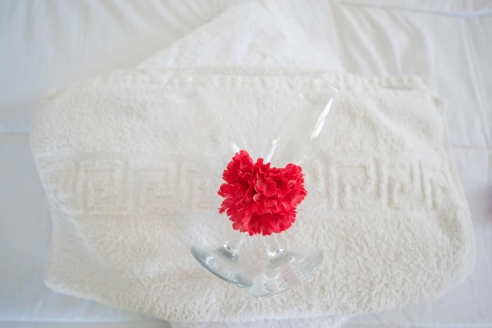 Imagen de la habitación del Hotel Villa Agas. Foto 7