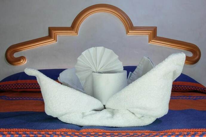 Imagen general del Hotel Villa Alta, Oaxaca de Ju&aacute;rez. Foto 3