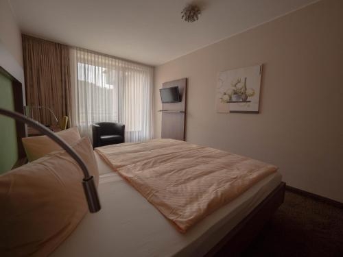 Imagen general del Hotel Villa Am Rhein. Foto 6