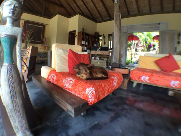 Imagen de los interiores del Hotel Villa Anjing, Nusa Dua. Foto 17