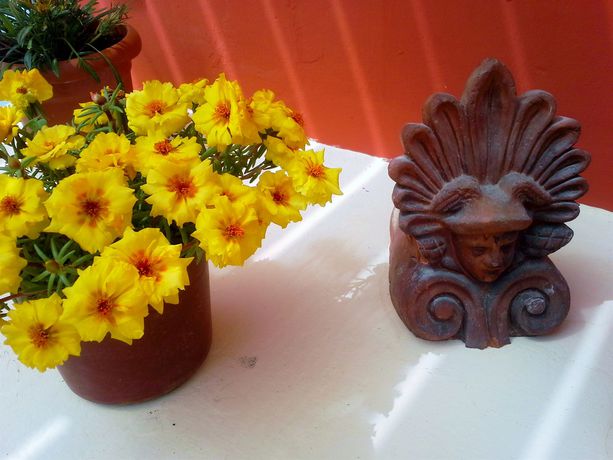 Imagen de los exteriores del Hotel Villa Anneta. Foto 7