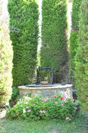 Imagen general del Hotel Villa Annilena. Foto 12