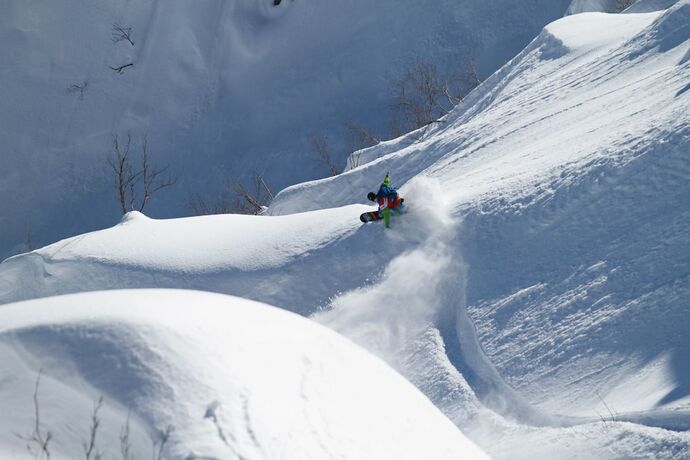 Imagen general del Hotel Villa Antelope Hakuba. Foto 7