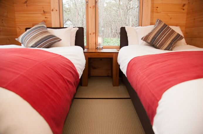 Imagen de la habitación del Hotel Villa Antelope Hakuba. Foto 20