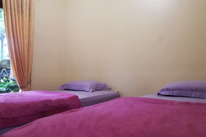 Imagen de la habitación del Hotel Villa Aquarius Orange. Foto 14