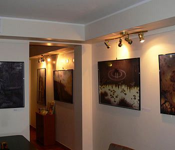 Imagen general del Hotel Villa Artis. Foto 1