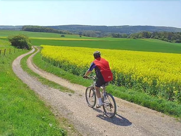 Imagen general del Hotel Villa Auguste Viktoria. Foto 2