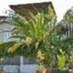 Imagen general del Hotel Villa Augustus, Lipari. Foto 2