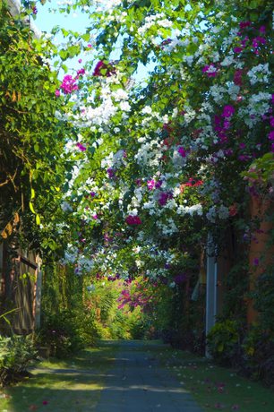Imagen de los interiores del Hotel Villa Bali Asri Seminyak. Foto 20