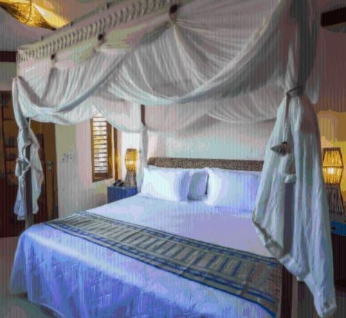 Imagen general del Hotel Villa Balidend&ecirc;. Foto 4