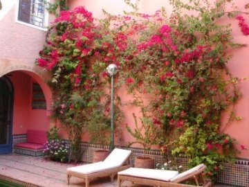Imagen de los exteriores del Hotel Villa Bleue. Foto 4
