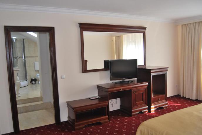 Imagen de la habitación del Hotel Villa Boierului. Foto 6