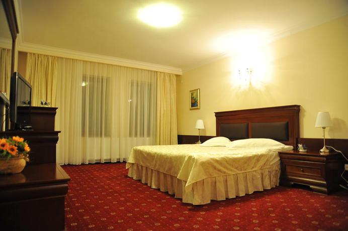 Imagen de la habitación del Hotel Villa Boierului. Foto 7