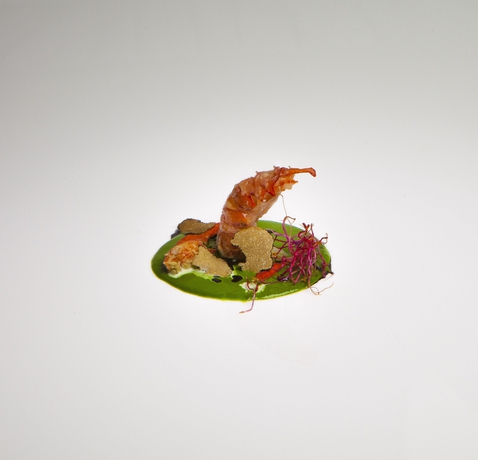 Imagen del bar/restaurante del Hotel Villa Braida. Foto 4