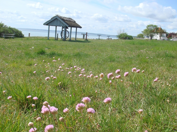 Imagen de los exteriores del Hotel Villa Brinkly. Foto 7