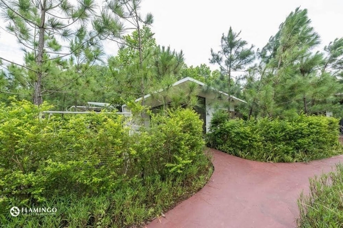 Imagen general del Hotel Villa CBT Flamingo Dai Lai. Foto 2