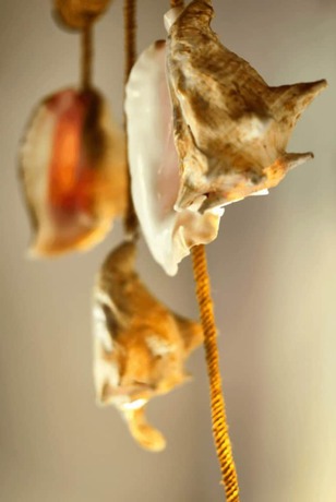 Imagen de la habitación del Hotel Villa Caribe. Foto 2