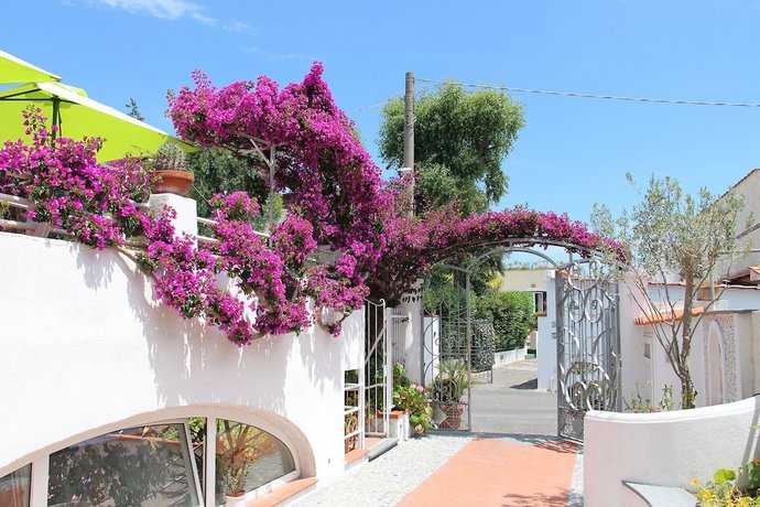 Imagen general del Hotel Villa Cecilia. Foto 11