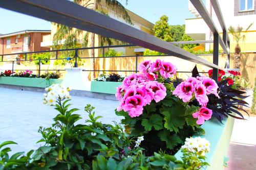 Imagen de la habitación del Hotel Villa Chiara, Terracina. Foto 9