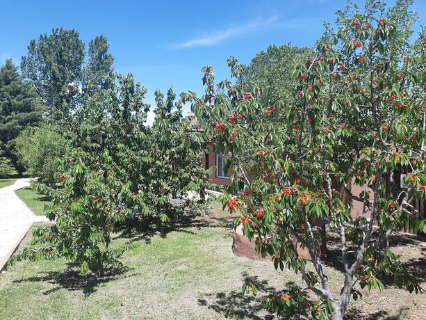 Imagen general del Hotel Villa Ciruelos. Foto 13