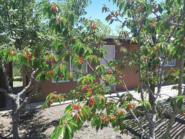 Imagen general del Hotel Villa Ciruelos. Foto 14