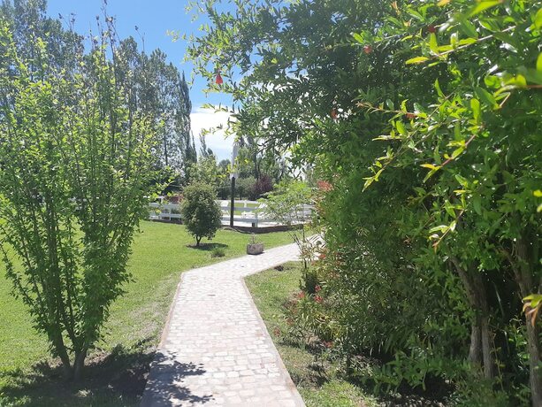 Imagen general del Hotel Villa Ciruelos. Foto 19