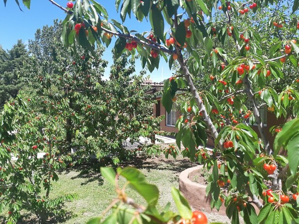 Imagen de los interiores del Hotel Villa Ciruelos. Foto 24