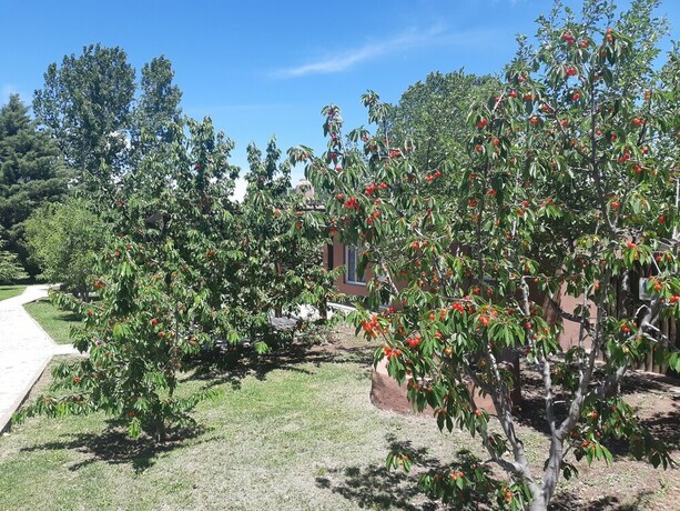 Imagen de los interiores del Hotel Villa Ciruelos. Foto 25