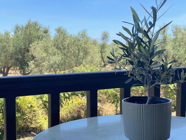 Imagen general del Hotel Villa Clelia. Foto 9