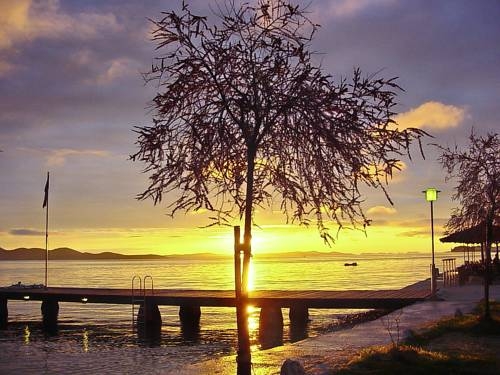 Imagen general del Hotel Villa Dalmatia. Foto 14