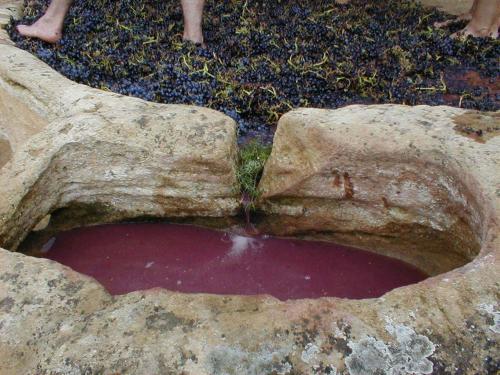 Imagen de los exteriores del Hotel Villa De Abalos. Foto 8