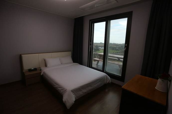 Imagen de la habitación del Hotel Villa De Alliance. Foto 5