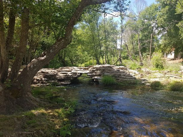 Imagen de la piscina del Hotel Villa De Berzocana. Foto 19