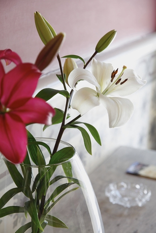 Imagen de los interiores del Hotel Villa De Luarca. Foto 6