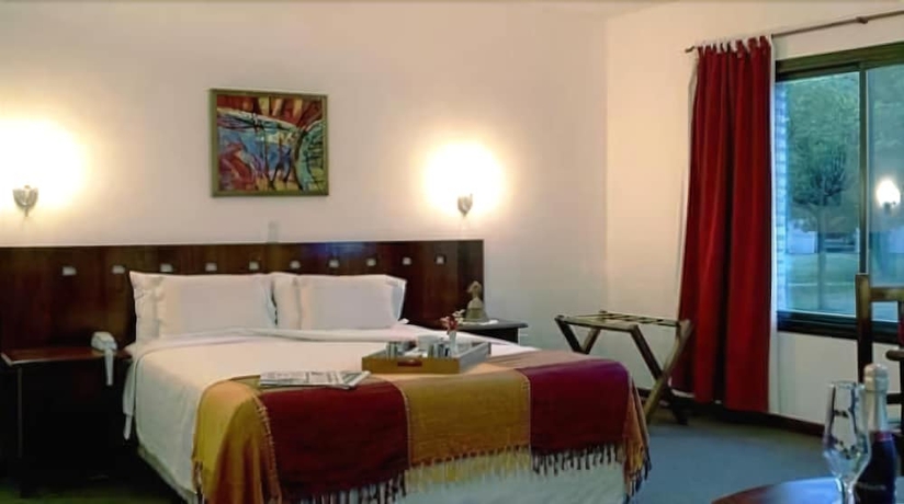 Imagen de la habitación del Hotel Villa De Merlo Spa. Foto 6