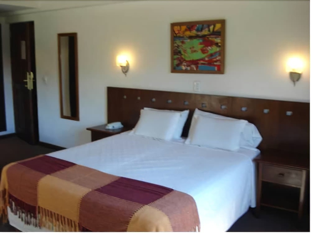 Imagen de la habitación del Hotel Villa De Merlo Spa. Foto 8