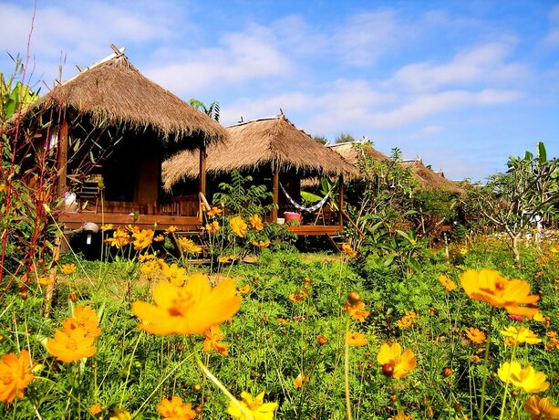 Imagen general del Hotel Villa De Pai. Foto 1