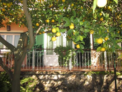 Imagen general del Hotel Villa Degli Aranci. Foto 6
