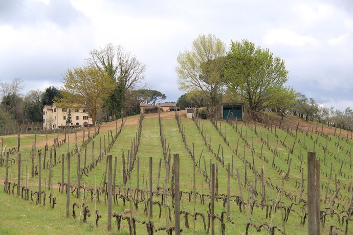 Imagen de los interiores del Hotel Villa Delia and Cooking School. Foto 18
