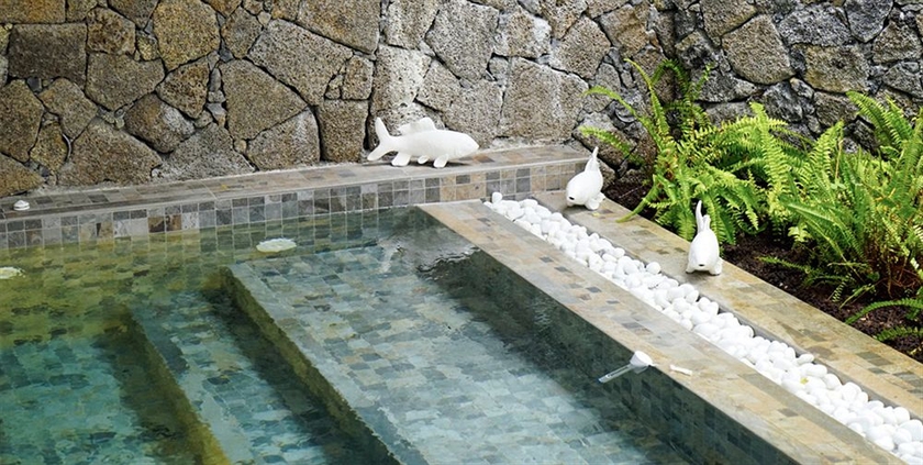 Imagen de la piscina del Hotel Villa Delisle and Spa. Foto 8