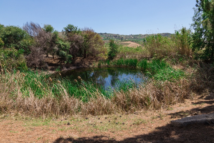 Imagen de los exteriores del Hotel Villa Diana, Agrigento. Foto 11