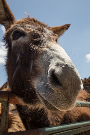 Imagen general del Hotel Villa Diana, Agrigento. Foto 2