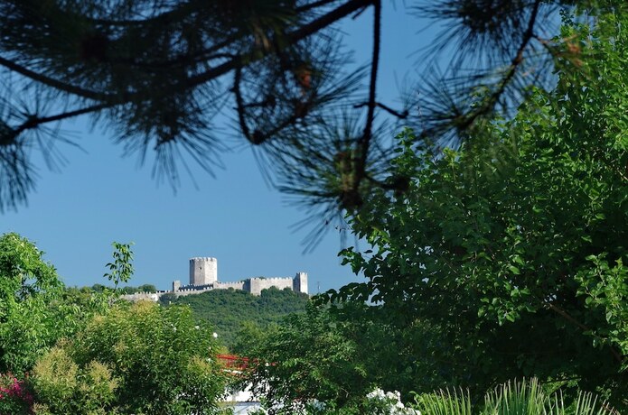 Imagen general del Hotel Villa Dimitris. Foto 14