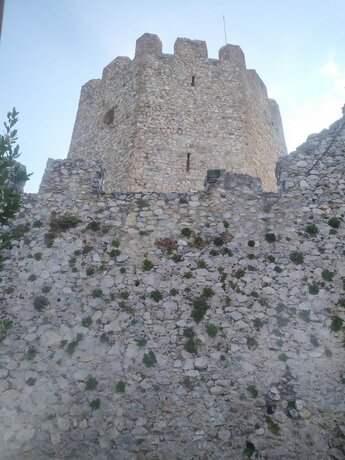 Imagen general del Hotel Villa Dimitris. Foto 15