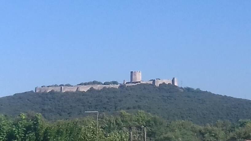 Imagen general del Hotel Villa Dimitris. Foto 18